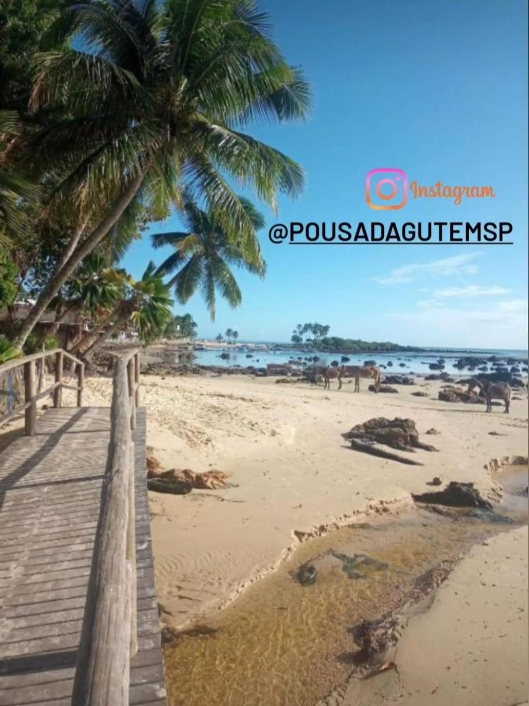 Pousada Gute Morro Morro de Sao Paulo Bagian luar foto